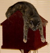 3843875187_4045fc4ccb