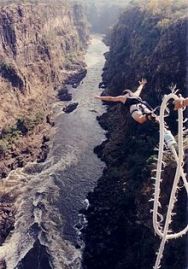 220px-Bill's_Bungy_Jump