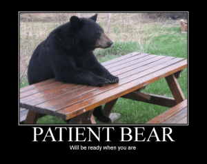 And Patient Bear. Of course.