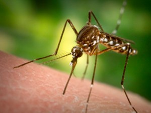 The day I was born. Ah, there's dad...