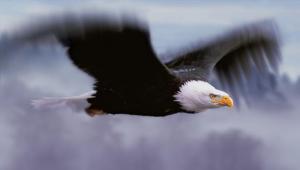 All I ask is for motivational images that don't actually connect to the motivation.